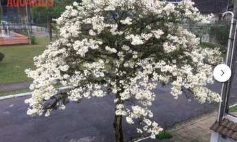 Imagem 2: Casa à venda, 350 m² por R$ 1.380.000,00 - Urbanova - São José dos Campos/SP