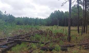Imagem 3: Passo de Torres - Terreno Padrão - Sumaré II