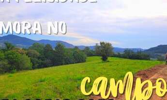 Imagem 6: CHÁCARA 2 HECTARES COM ESCRITURA EM MORUNGAVA