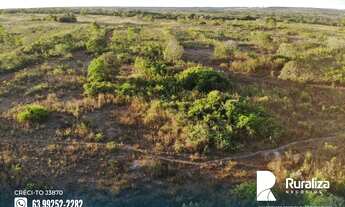 Imagem 7: Fazenda de dupla aptidão com aproveitamento de 70% no vale do Araguaia - TO