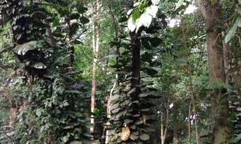 Imagem 7: Lote para Venda no Jardim Santana