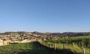 Imagem 4: Imóvel Rural / Fazenda / Sítio / Terreno em Ribeirão Claro - Paraná - em área urbana