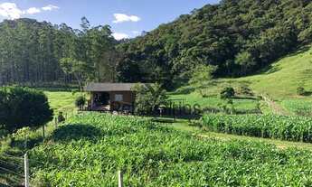 Imagem: Sítio 1 Quarto Rodeio - SC - Consulte