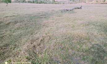 Imagem: Sítio 3.45 alqueires