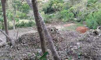 Imagem 4: Terreno, Praia da Gamboa - Garopaba/SC