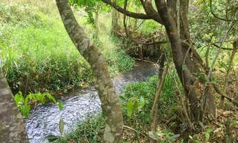 Imagem 3: Lote com muita água corrente