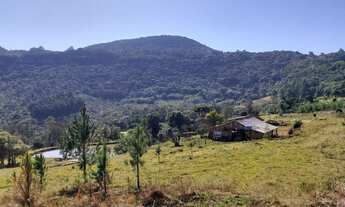 Imagem 4: Sitio com Casa e Galpão em São Francisco de Paula na Localidade da Recosta