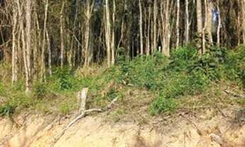 Imagem 4: 48 Lotes de 500m² e 1000m² em Ibiúna-SP PG1NVD