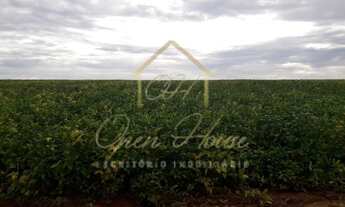 Imagem 4: Vendo ótima fazenda em Sinop-MT