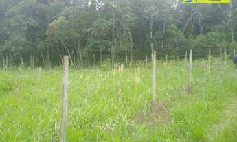 Imagem 1: Terrenos à venda, 250 m² cada, por R$ 45.000 - Carmo Messias - Ibiúna/SP