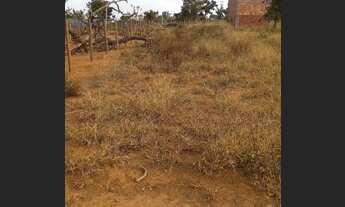 Imagem 5: Lote de 300m² na 26 de Setembro Rua 5