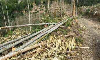 Imagem 5: 20 mil de entrada e o restante em 36x, 48x, ou 60x