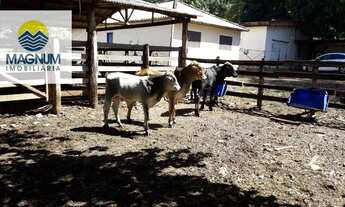 Imagem 3: Sítio-(PORTEIRA FECHADA), com: 3,19 ALQUEIRES, c/ Casa Sede: 5 dorm. Piscina, à venda, =77