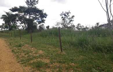 Imagem 4: Lotes Rurais de 20.000m2 à 89km do Ceasa Contagem ! Fazendinha próxima a Paraopeba !