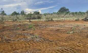 Imagem 5: Fazenda de 560 Hectares em Cristalândia/TO