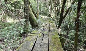 Imagem 7: Terreno em condomínio - Eco Residencial Fazenda Jequitibá - Sorocaba