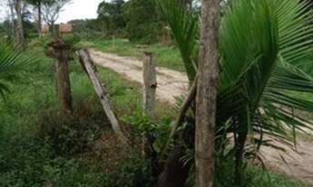 Imagem: LoteTerreno para venda com442 metros quadrados