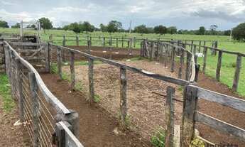 Imagem 4: Fazenda à venda de 720 Hectares em Araguacema do Tocantins