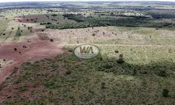 Imagem 4: Fazenda em Cristalândia- TO
