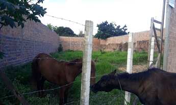 Imagem 5: Terreno Terreno / lote com venda por R$75.000