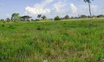 Imagem 3: Fazenda à venda, 5324000 m² por R$ 6.600.000,00 - Zona Rural - Itupiranga/PA