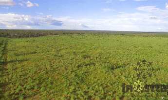 Imagem 4: Fazenda à venda, 2.130 Hectares em Colinas do Tocantins/TO