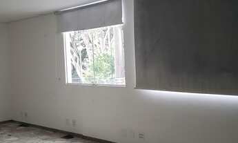 Imagem 5: Oportunidade! Galpão De 500 m² Reformado na Vila Santa Catarina