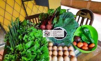 Imagem 5: CHACARA 12.000M² - TAUBATE/SP