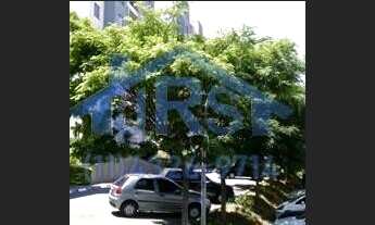 Imagem 4: Apartamento com 2 dormitórios à venda