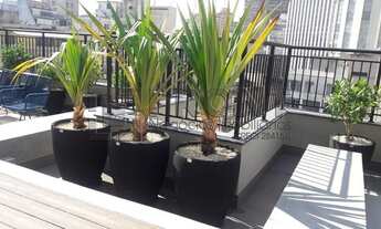 Imagem 1: Venha conferir esse ótimo imóvel em República