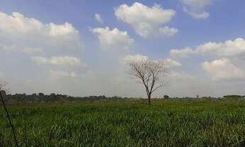 Imagem: Fazenda à venda, 5324000 m² por R$ 6.600.000,00