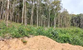 Imagem 3: 25 Lotes em Ibiúna. Prox a Represa HSDNVD