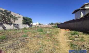 Imagem 7: Excelente lote murado e 100% plano no Taquari Lago Norte