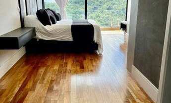 Imagem 7: Casa vista para a mata, Gênesis 2