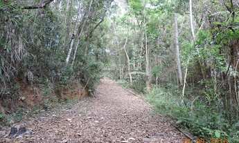 Imagem 3: Bela área de 77.000 m² com infraestrutura iniciada (Vende Separadamente