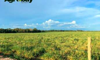 Imagem 7: Fazenda Localizada na Cidade de Peixe - to