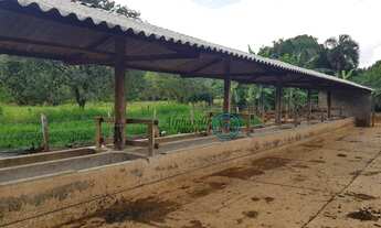 Imagem: Vendo Confinamento com Capacidade para 400