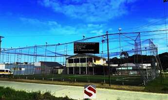 Imagem 4: Terreno - Venda - BREJATUBA - Cod. 41