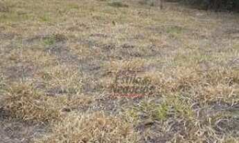 Imagem 5: Fazendinha!! - 1008m² - aclive suave!