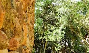 Imagem 5: Terreno à venda, 917 m² - Villa Lucchesi - Gravataí/RS