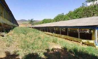 Imagem 5: Fazenda com 9 dormitórios à venda, 5832200 m² por R$ 14.000.000,00 - Vila Santista - Serra