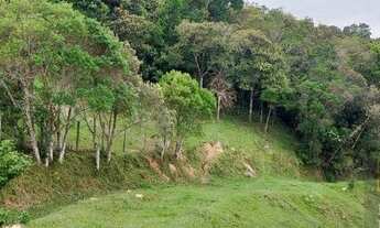 Imagem 4: Sítio em Quarta Linha - Angelina, SC