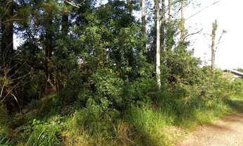 Imagem: Terreno à venda, 2400 m² por R$ 265.957,00