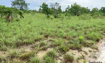 Imagem 7: Fazenda à venda, 1.100 Hectares em Araguacema do Tocantins