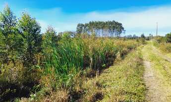 Imagem 3: Chácara à venda, próximo das praias e ótimo para plantio!<br>localizada em Passo de