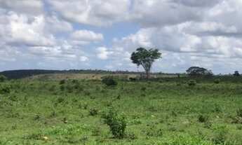 Imagem 2: Fazenda para venda, possui 780.000m² próximo a BR - 367