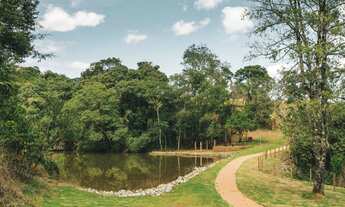 Imagem 2: Lote/Terreno para venda tem 1000 metros quadrados em Piedade do Paraopeba - Brumadinho - M