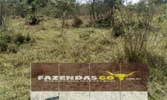 Imagem 5: Fazenda de 20 Alqueires ! Região de Aragoiania ! Oportunidade !