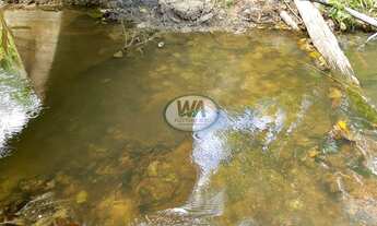 Imagem 3: Fazenda plantando safra e safrinha