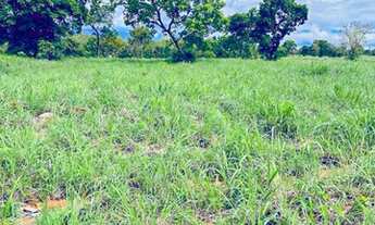 Imagem 5: Fazenda Flores de Goiás